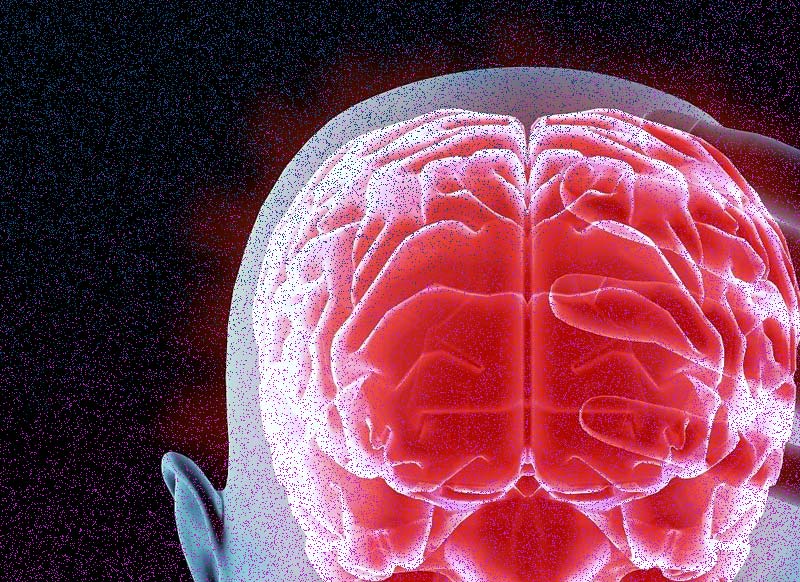 紧张体质人的大脑有什么不同吗