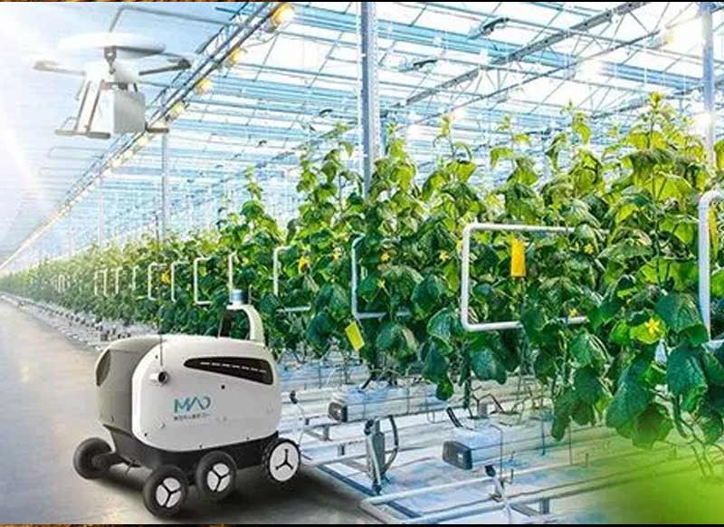 聊聊近些年农业方面的高科技——农业高科技：革新传统，塑造未来
