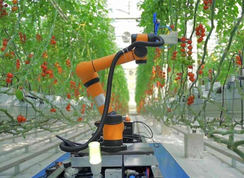 农业机器人在实际生产中有哪些应用案例？