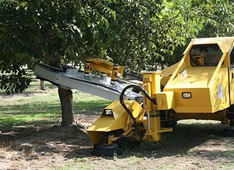 柑橘采摘机器人的工作效率如何？